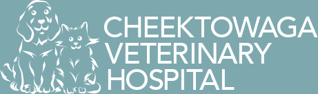 Cheektowaga Veterinary Hospital