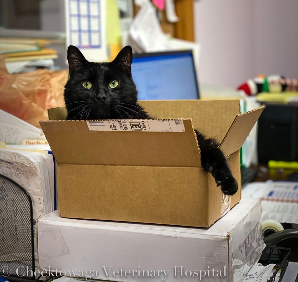 75348998_2694208233969084_1907823506515558400_o