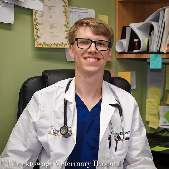 Dr. James Dircksen Cheektowaga Veterinary Hospital